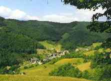 Schwarzwald