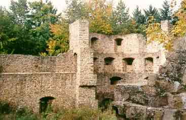Bayerischer Wald