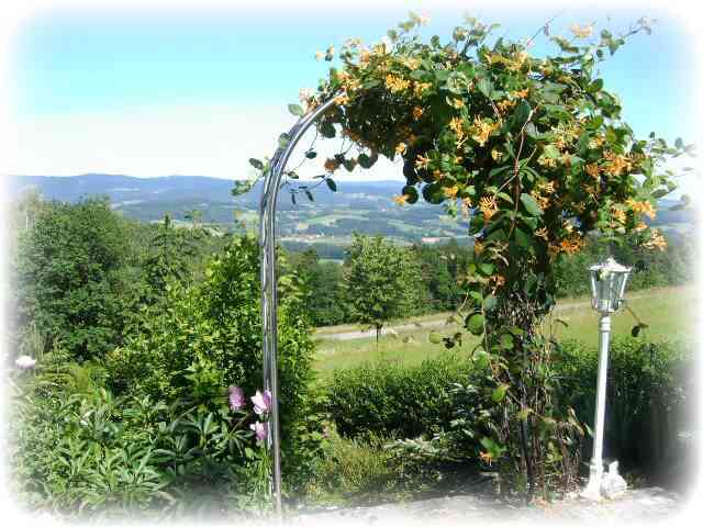 Pilgramsberg in der Region Bayerischer Wald
