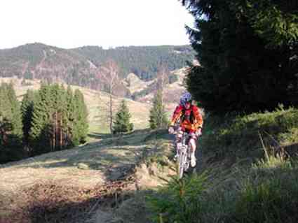 Harz