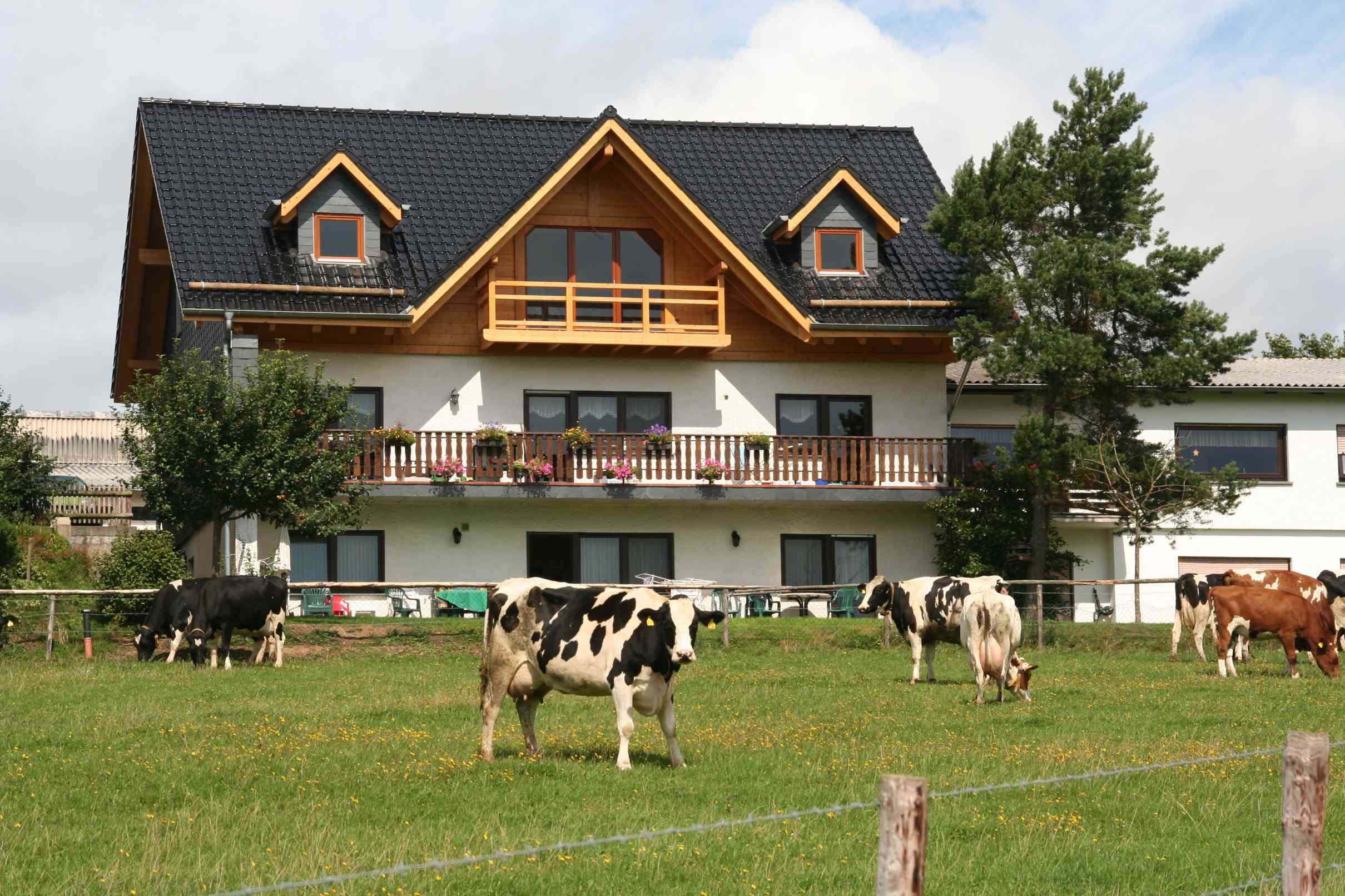 Ferienwohnung Eifel