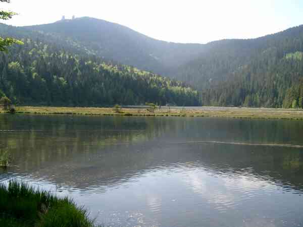 K�tzting in der Region Bayerischer Wald