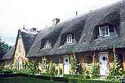 Ferienwohnung Landhaus Born