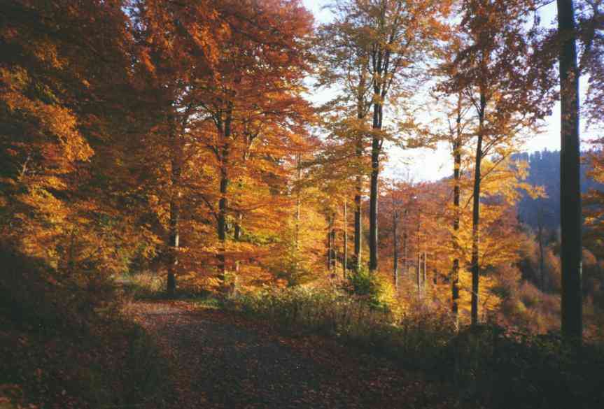 Bad Sachsa in der Region Harz