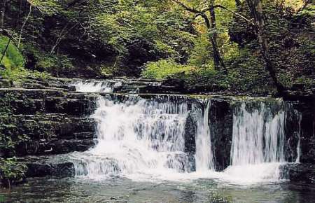 Bonndorf