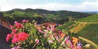 Schwarzwald
