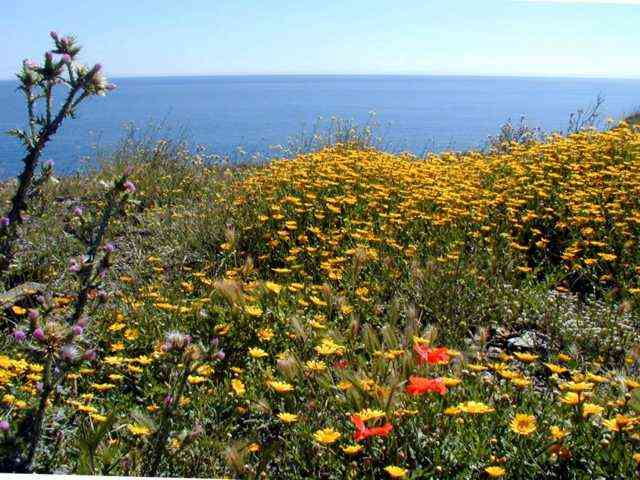 Languedoc-Roussillon