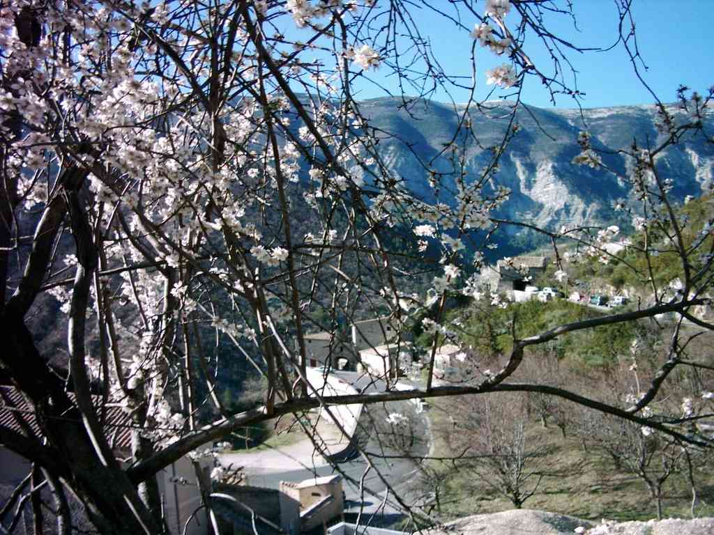 Brantes