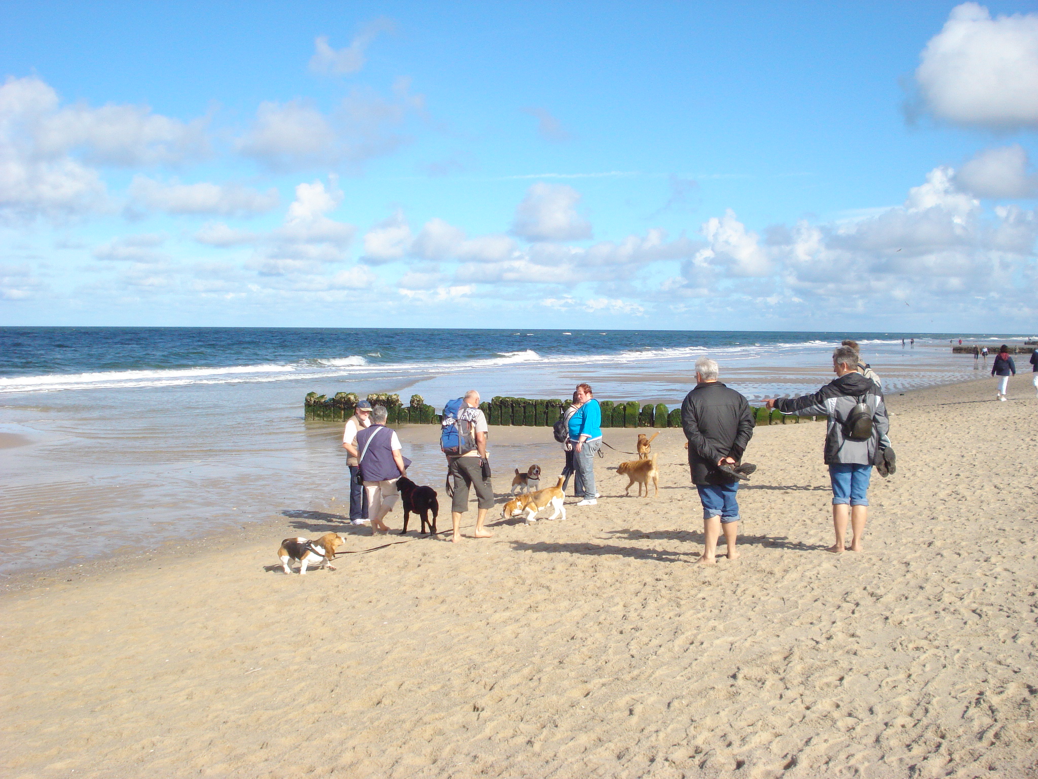 Sylt