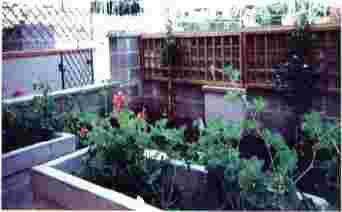 Ferienwohnungen Follonica Appartement