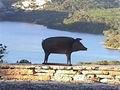 Ferienhaus Ferienhaus Esparron de Verdon